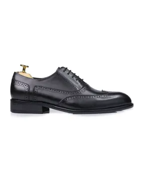 Oxford Brogue Wingtip - Black Lace Up